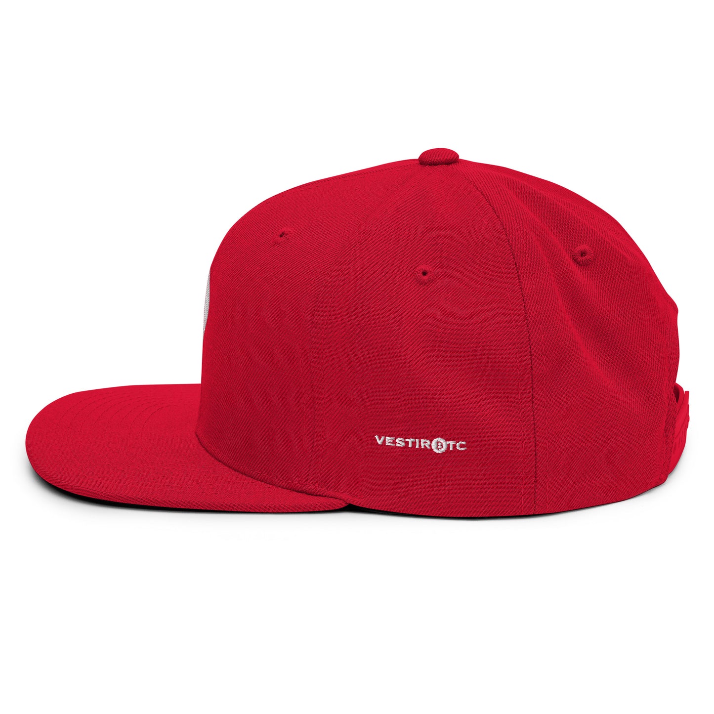 'Drip' Snapback Hat